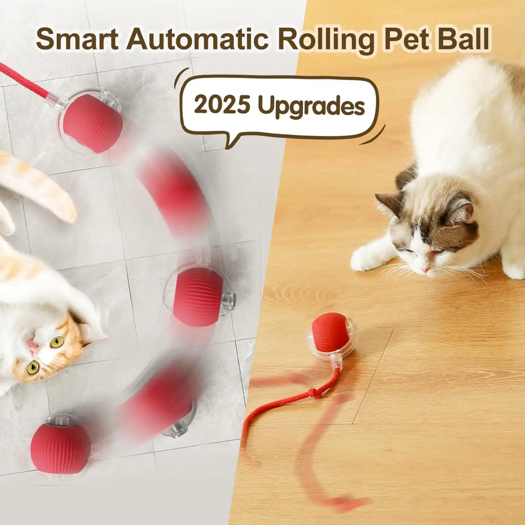 🐾 Smart Interactive Pet Toy Ball